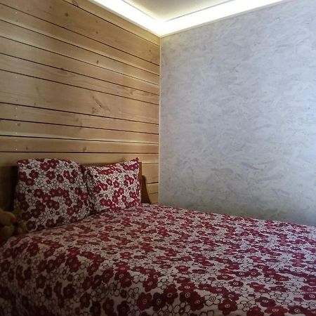 Le Woody Apartment Saint-Étienne-de-Tinée Екстериор снимка
